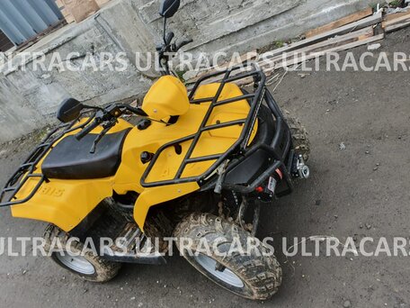 2026 Irbis ATV 200U, жёлтый, 235196 рублей, вид 3