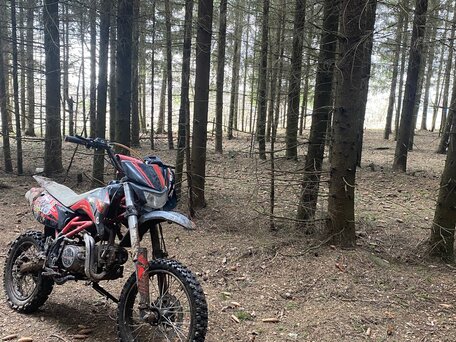 2013 Irbis TTR 125, красный, 55000 рублей, вид 2