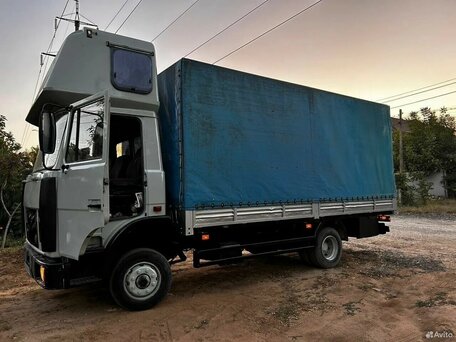 2004 МАЗ 4370, серый, 800000 рублей, вид 1