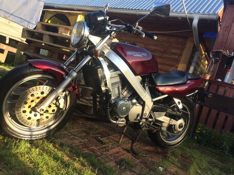1999 Honda Bros, пурпурный, 438000 рублей, вид 3