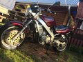 1999 Honda Bros, пурпурный, 438000 рублей - вид 2