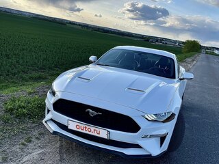 2019 Ford Mustang VI Рестайлинг, белый, 2300000 рублей, вид 2
