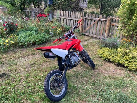 2014 Kayo Evolution YX140EM, красный, 76000 рублей, вид 5