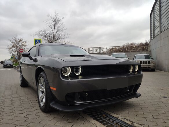 2019 Dodge Challenger III Рестайлинг 2, серый