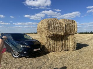 2009 Ford Focus II Рестайлинг, синий, 710000 рублей, вид 4