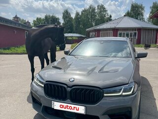2021 BMW 5 серии 530d xDrive VII (G30/G31/G38) Рестайлинг, серый, 3650000 рублей, вид 2