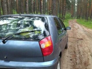 2001 Fiat Palio I, голубой, 165000 рублей, вид 5