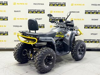 2026 Bison ATV 250F, серый, 239900 рублей, вид 5