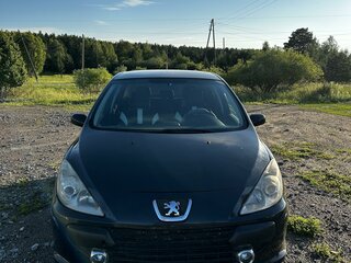 2007 Peugeot 307 I Рестайлинг, серый, 430000 рублей, вид 2