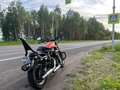 2010 Harley-Davidson Sportster 883, оранжевый, 600000 рублей - вид 11