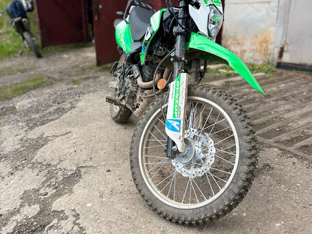 2023 Racer Panther, зелёный, 130000 рублей, вид 4