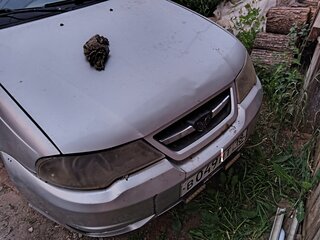 2011 Daewoo Nexia I Рестайлинг, серебристый, 150000 рублей, вид 4
