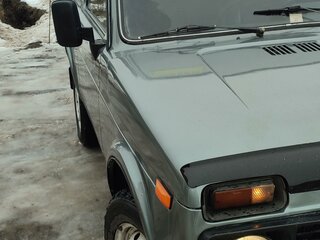 2002 Lada (ВАЗ) 2121 (4x4) I Рестайлинг, серый, 360000 рублей, вид 2