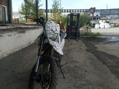 2013 Bars YQ250GY-18V, белый, 100000 рублей, вид 2
