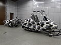 2004 BRP Ski-Doo Elite, белый, 3266575 рублей