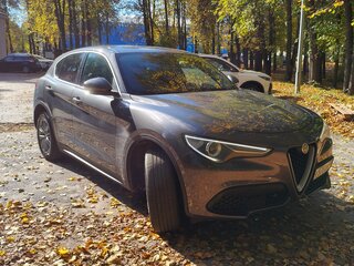 2018 Alfa Romeo Stelvio I, серый, 4100000 рублей, вид 3