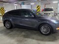 2021 Tesla Model Y Long Range Dual Motor I, серый - вид 7