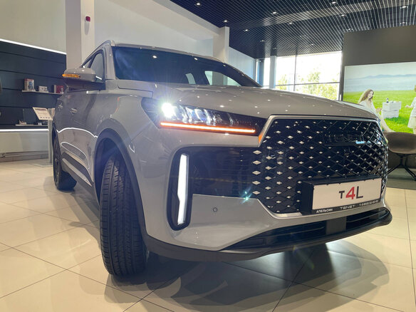 2026 Tenet T4L, серый - вид 17