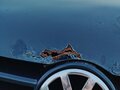 1999 Volkswagen Golf IV, синий, 170000 рублей - вид 7