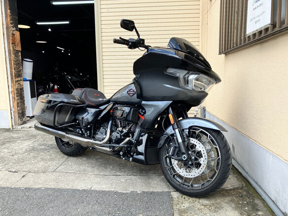 2025 Harley-Davidson CVO Road Glide, серый - вид 1