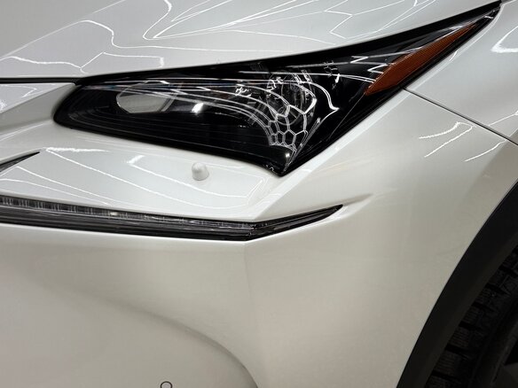 2017 Lexus NX 200 I Рестайлинг, белый, 2600000 рублей - вид 15