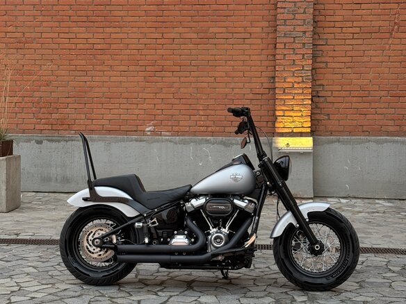 2020 Harley-Davidson Softail Slim, серебристый, 1700000 рублей - вид 1