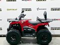 2026 Bizon YK250 LUX EFI, красный, 255000 рублей - вид 1