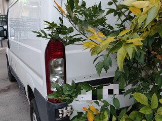 2013 Fiat Professional Ducato, белый, 1450000 рублей, вид 4