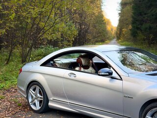 2007 Mercedes-Benz CL-Класс AMG 63 AMG II (C216), серебристый, 1450000 рублей, вид 3