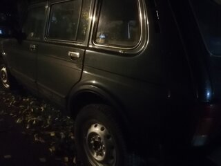 2013 Lada (ВАЗ) 2131 (4x4) 213105 I, серый, 390000 рублей, вид 2