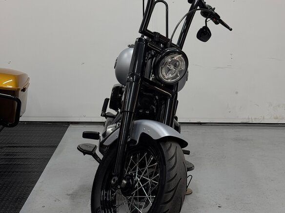 2020 Harley-Davidson Softail Slim, серебристый, 1700000 рублей - вид 20