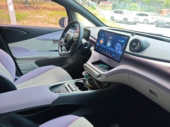 2023 BYD Dolphin 44.9 kWh I, розовый, 1650000 рублей - вид 9