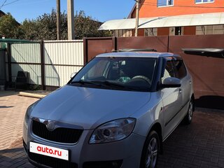 2009 Skoda Fabia II, серебристый, 590000 рублей, вид 1