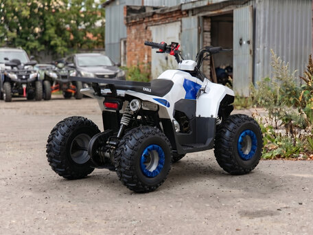 2026 Motoland ATV 110 Eagle, белый, 84600 рублей, вид 3