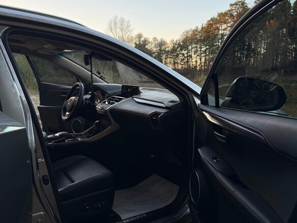 2018 Lexus NX 300 I Рестайлинг, серебристый, 3700000 рублей - вид 9