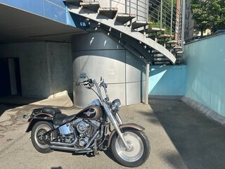 2004 Harley-Davidson Fat Boy, коричневый, 680000 рублей, вид 4