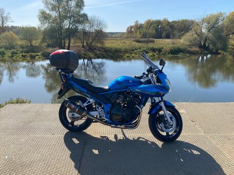 2005 Suzuki Bandit GSF 650, синий, 430000 рублей, вид 5