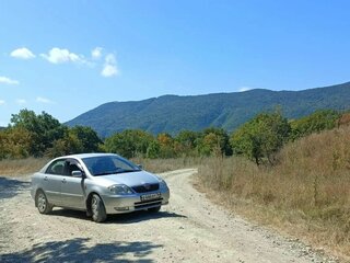 2003 Toyota Corolla IX (E120, E130), серебристый, 400000 рублей, вид 3
