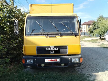 1995 MAN 8, жёлтый, 1100000 рублей, вид 2