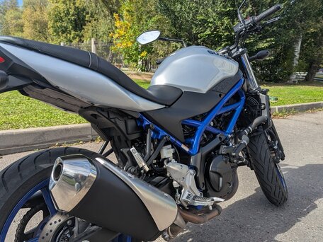 2020 Suzuki SV 650, синий, 630000 рублей, вид 2