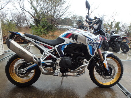 2024 BMW F 900 GS, белый, 1700000 рублей, вид 2