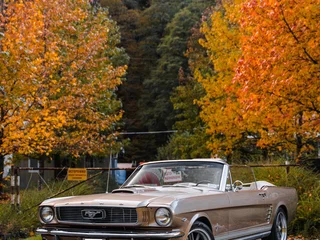 1966 Ford Mustang I, золотистый, 12500000 рублей, вид 4