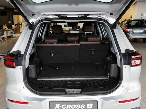 2024 Xcite X-Cross 8, серебристый, 3359000 рублей - вид 34