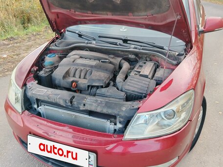 2009 Skoda Octavia II (A5) Рестайлинг, пурпурный, 630000 рублей, вид 3
