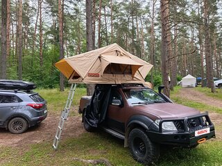 2010 Nissan Navara (Frontier) III (D40) Рестайлинг, коричневый, 1500000 рублей, вид 2