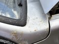 2004 Lada (ВАЗ) 2114, серебристый, 125000 рублей - вид 5