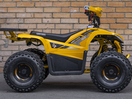 2026 Lucky Duck EDX100, жёлтый, 149990 рублей, вид 4