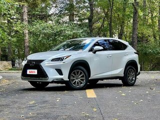 2020 Lexus NX 200 I Рестайлинг, белый, 3050002 рублей, вид 3