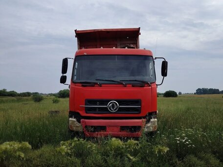 2007 Dongfeng DFL 3251A, красный, 800000 рублей, вид 3