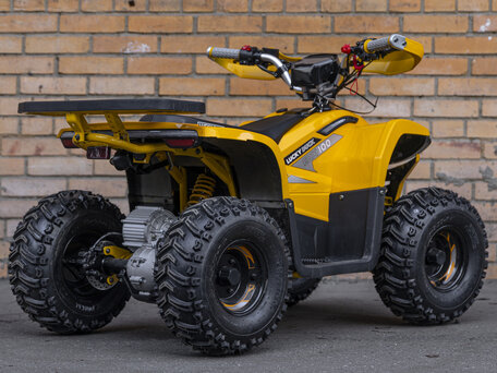 2026 Lucky Duck EDX100, жёлтый, 149990 рублей, вид 5